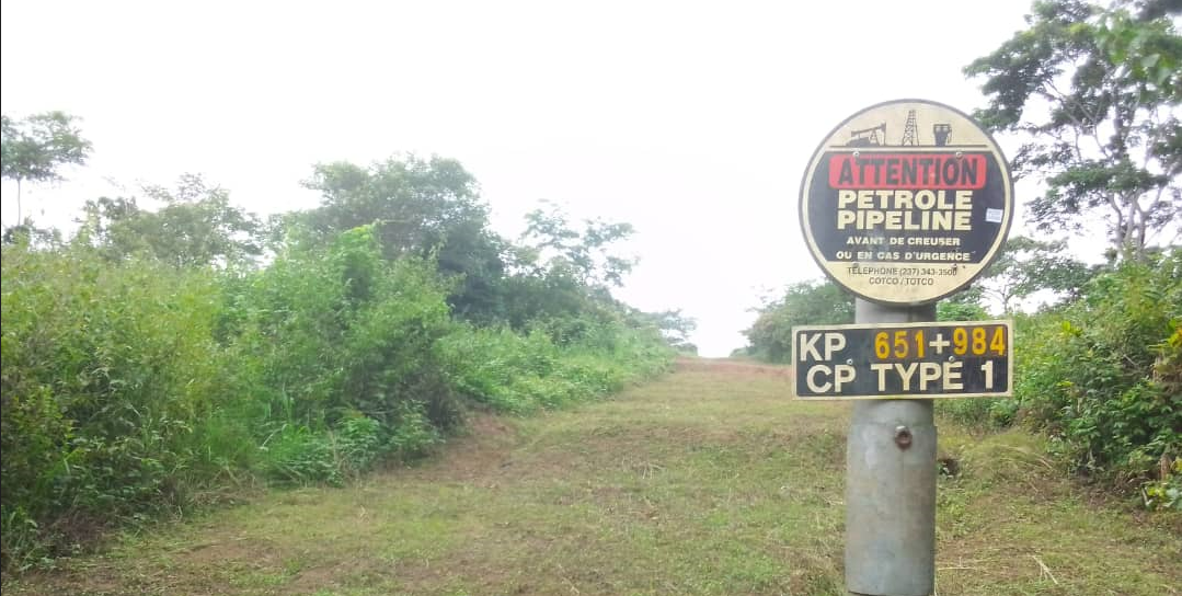 Ngokong 13