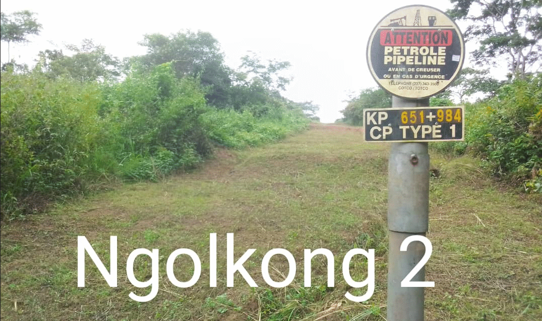 Ngokong 13
